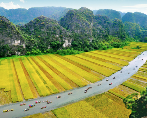 Nguyễn Thị Mỹ Hoa